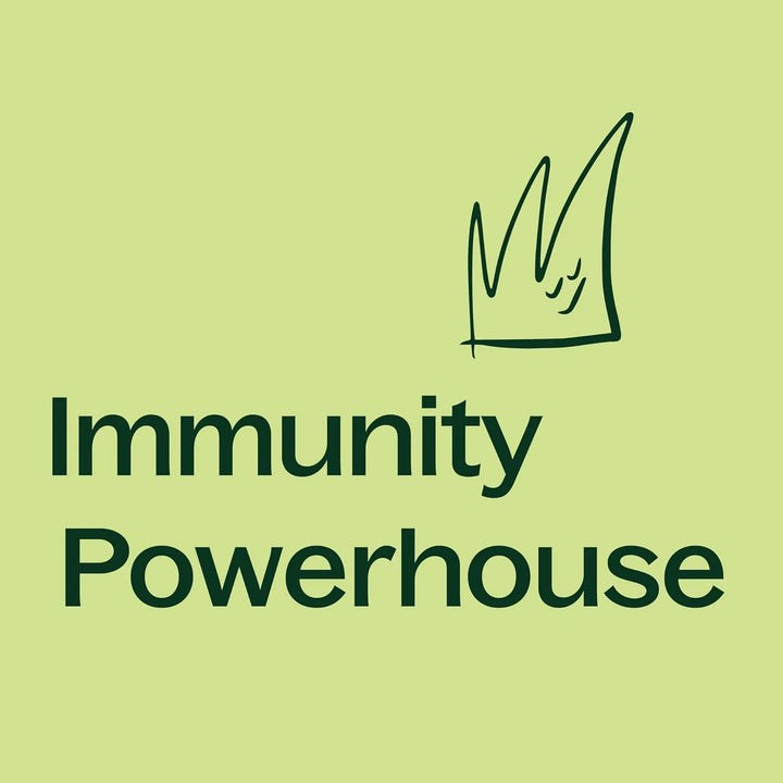 Cápsulas De Moringa Para Bienestar Energía Apoyo Inmunológic - Imagen 3