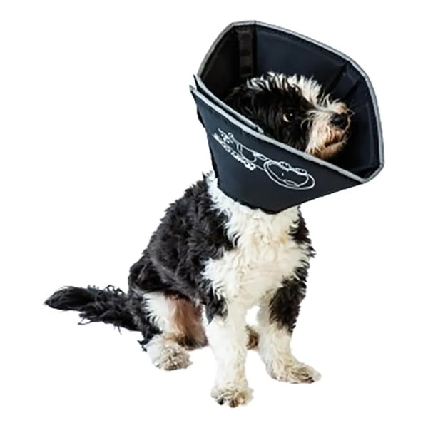 Cono Cómodo Para Mascotas All Four Paws Suave Y Ajustable