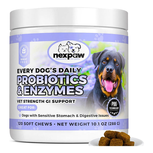 Probióticos Masticables Para Perros Con Enzimas Digestivas Alivio Diarrea Y Gases