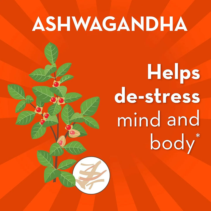 Align Probiotico Desestres Digestivo Ashwagandha 21 Capsulas - Imagen 5