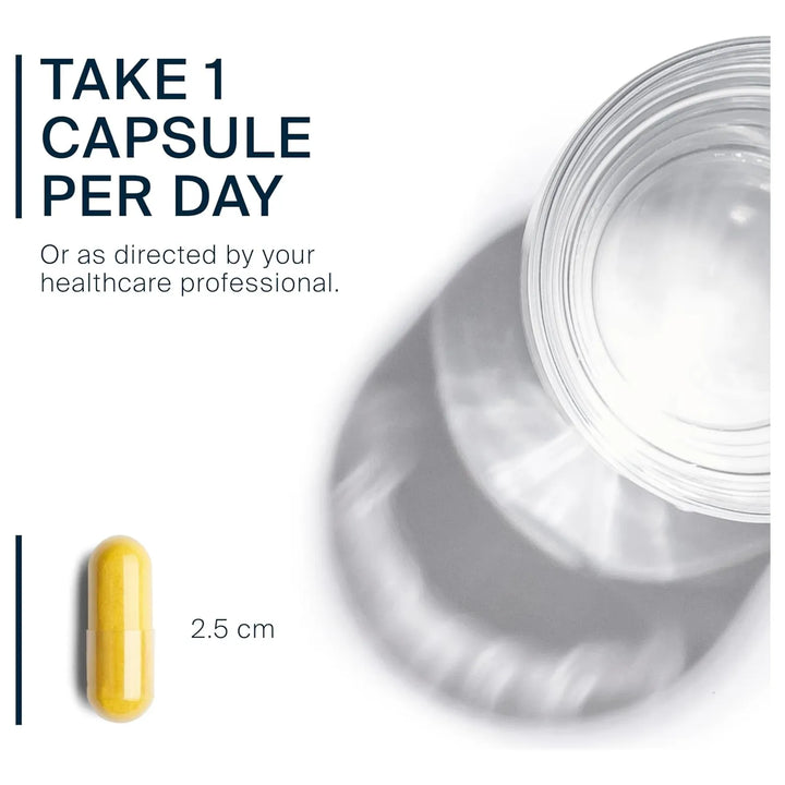 Berberina 200 Mg Apoyo Función Intestinal Niveles Triglicéri - Imagen 3