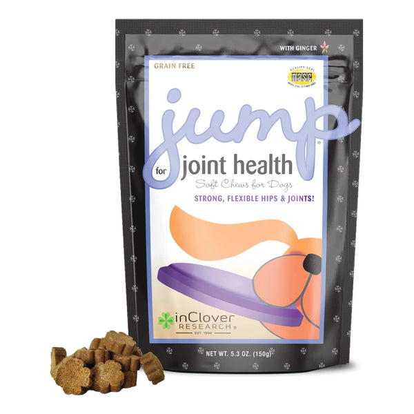 Jump Soft Masticables Para Cuidado De Articulaciones En Perros Con Glucosamina Y MSM