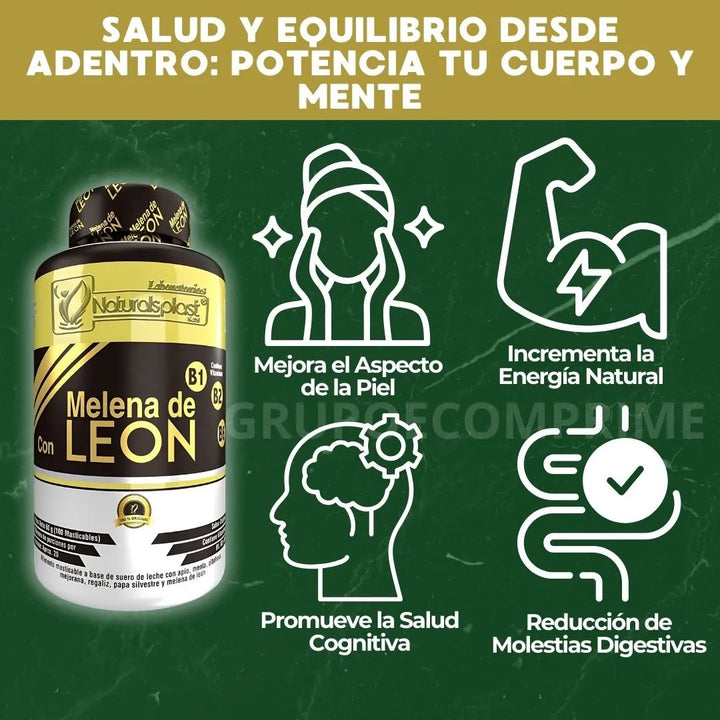 Melena De Leon Organica Hongo Natural - Imagen 6