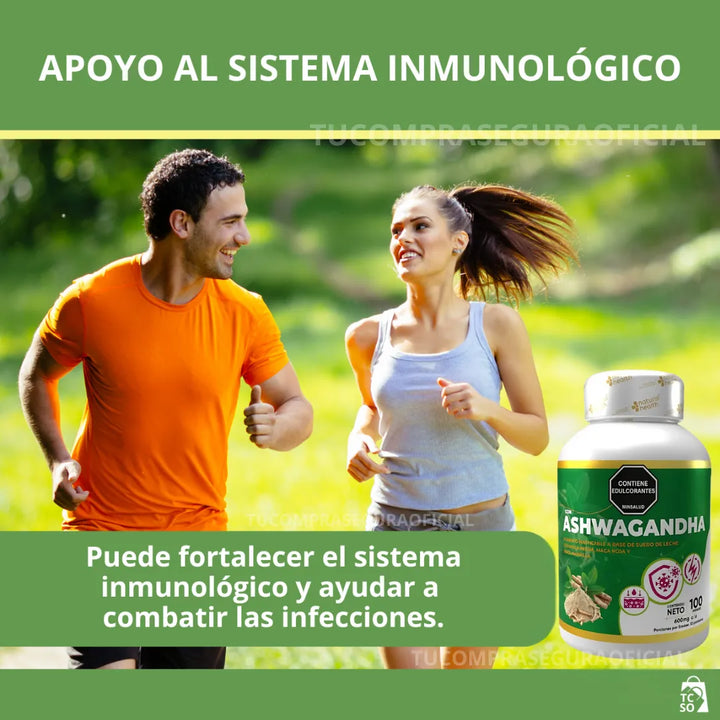 Ashwagandha Adaptógeno Potente Natural Estrés Ansiedad Sueño Original - Imagen 6