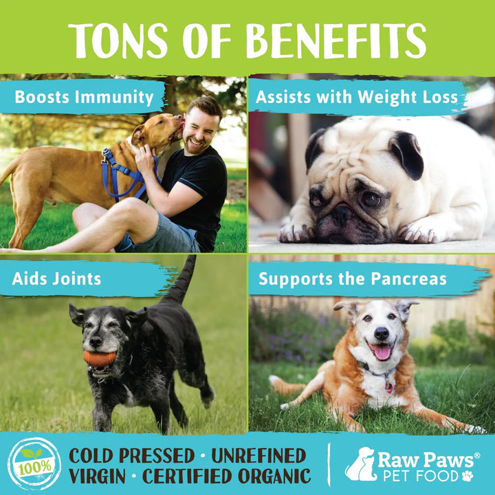 Aceite De Coco Orgánico 240 Ml Para Perros Y Gatos Tratamien - Imagen 3