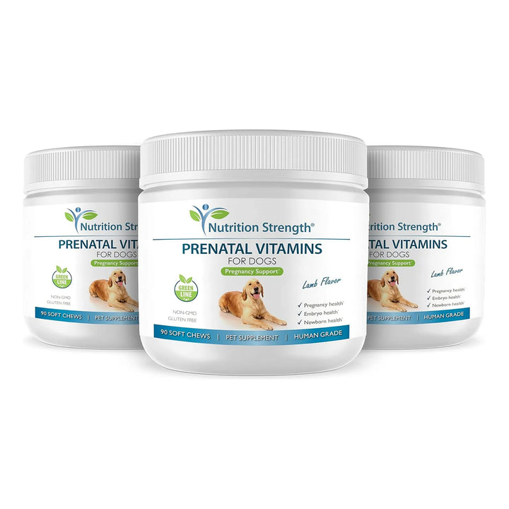 Vitaminas Prenatales Para Perros Desarrollo Cachorros Saluda - Imagen 5