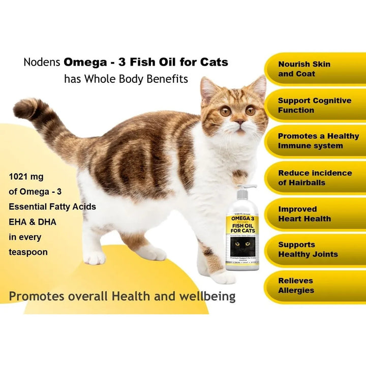 Aceite Omega-3 Para Gatos Ácidos Grasos Epa Dha Piel Saludab - Imagen 2