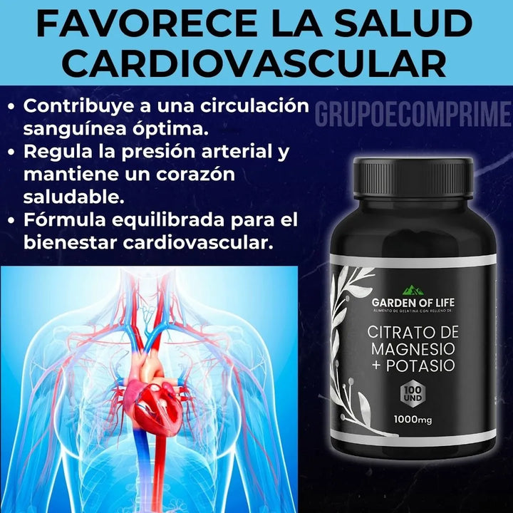 Citrato Magnesio Potasio X100 U Natural - Imagen 6