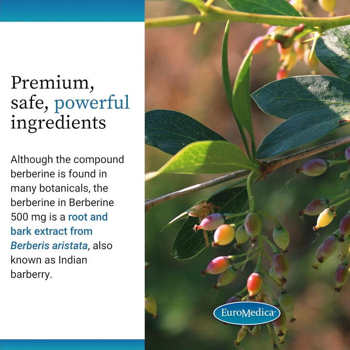 Berberina 500 Mg 60 Cápsulas Agracejo Indio Apoyo Metabólico - Imagen 5