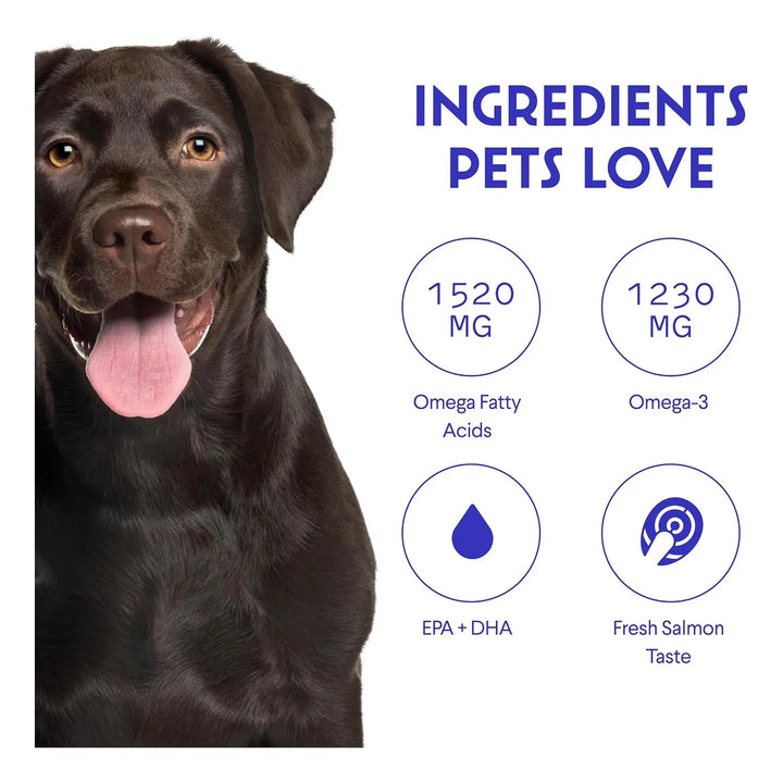 Aceite Omega 3 De Salmón Bacalao Y Krill Para Perros 500ml - Imagen 6
