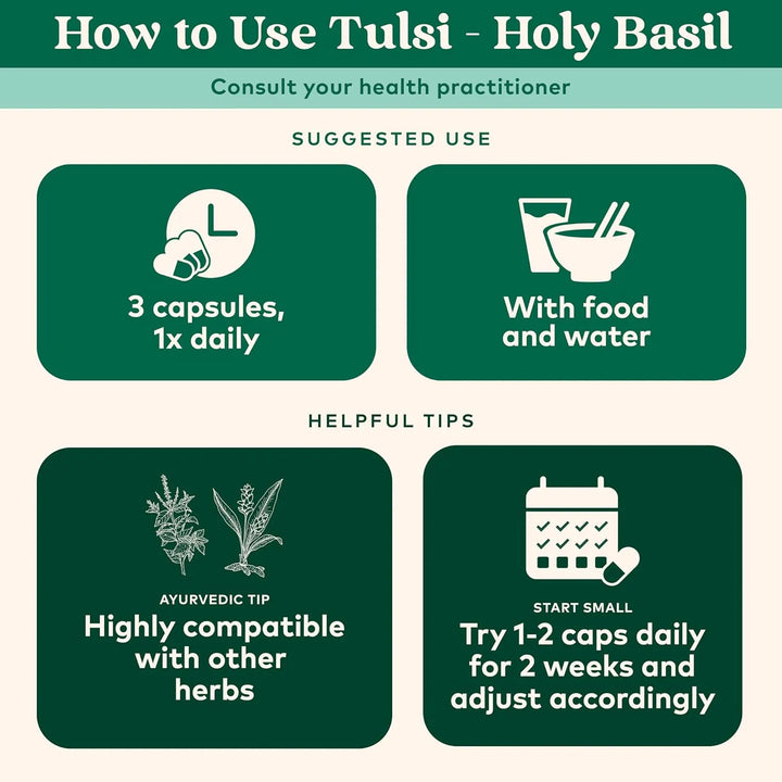 Albahaca Sagrada Tulsi Orgánica 60 Cápsulas Naturales - Imagen 4