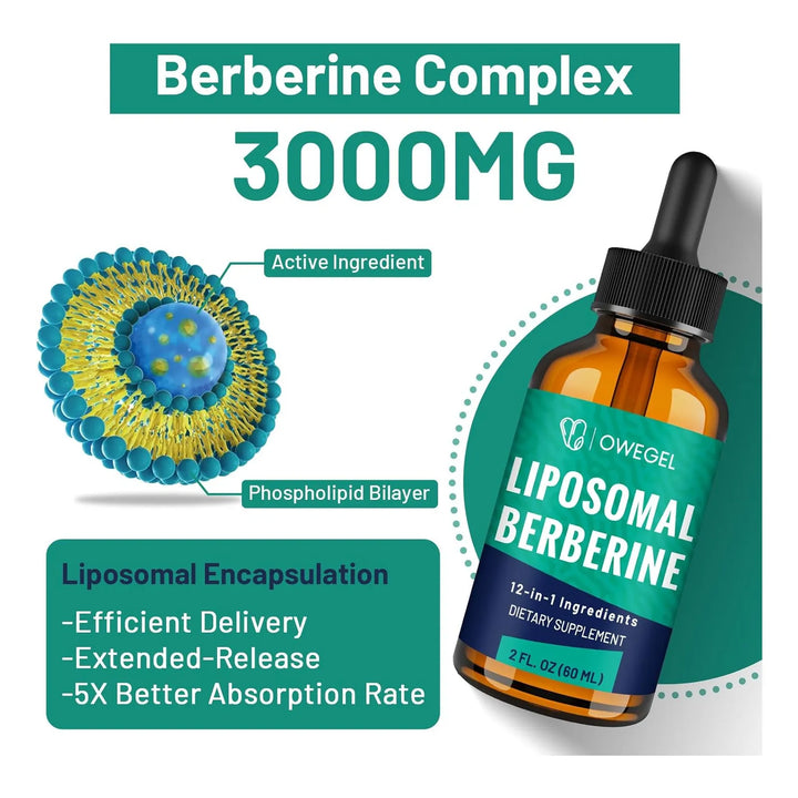 Berberina Líquida 3000 Mg Gotas Liposomales 12 Ingredientes - Imagen 3