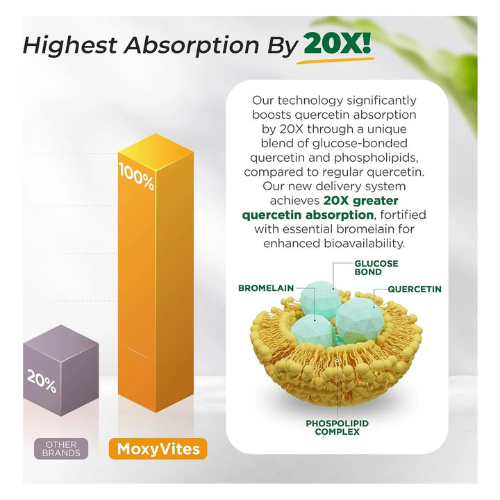 Quercetina 500 Mg Con Bromelina Bioactiva Apoyo Estacional A - Imagen 6