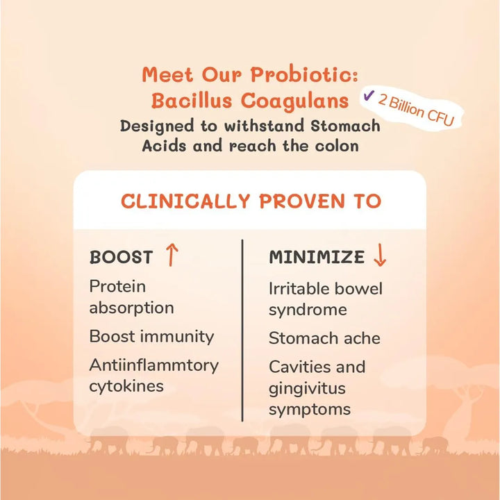 Probiotic Prebiotic Natural Tummy Buddy Apoyo Digestivo Abso - Imagen 2