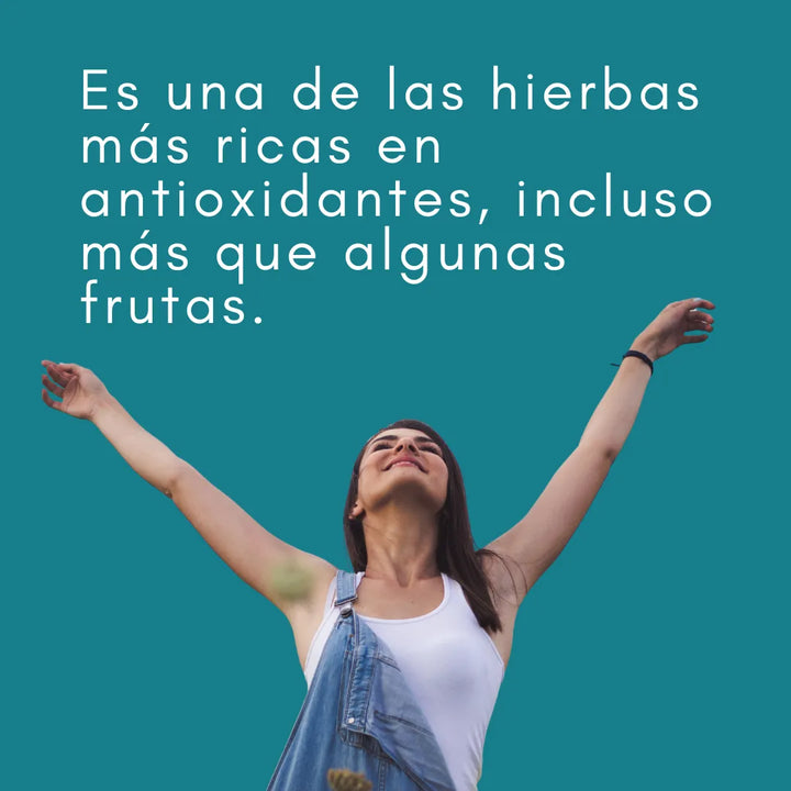 Aceite De Oregano, 1000 100 Capsulas, Extracto N/a - Imagen 6