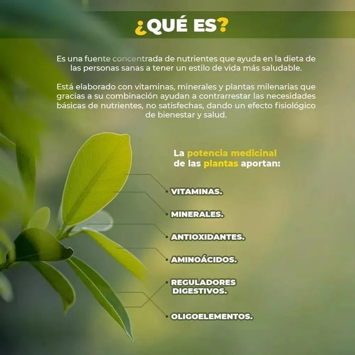 Ilivit Im Fit Regula El Peso Detox Depurador Natural Sin Sabor - Imagen 3