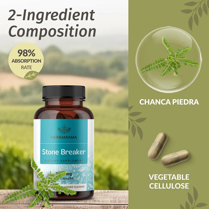Cápsulas Chanca Piedra 1200 Mg Para Cálculos Renales Y Limpi - Imagen 4