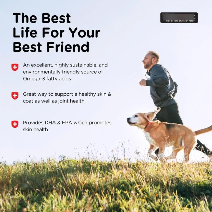 Aceite De Pescado Omega 3 Para Perros Favorece Piel Pelaje Y - Imagen 4