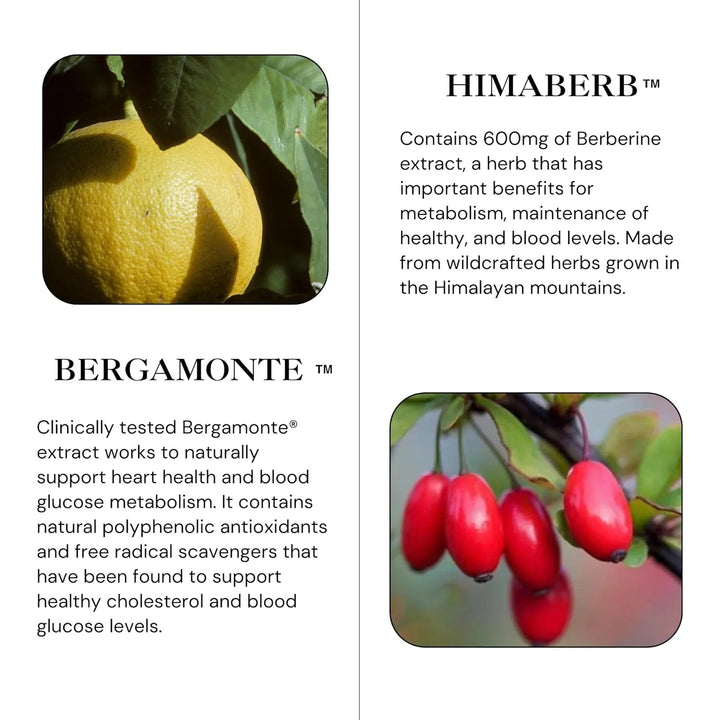 Cápsulas De Bergamota Cítrica Y Berberina 500 Mg Apoyo Natur - Imagen 7