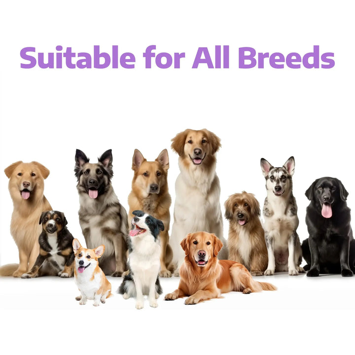 Aceite De Pescado Masticable Para Perros Omega 3 Y 6 Ácidos - Imagen 7