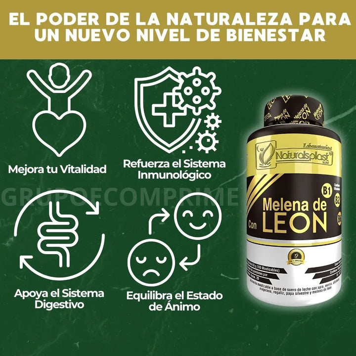 Melena De Leon Organica Hongo Natural - Imagen 5