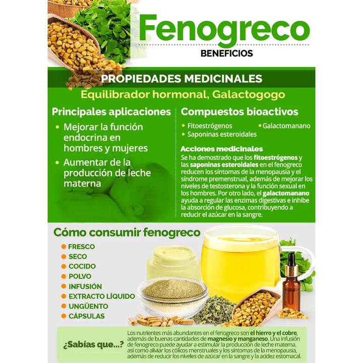 Fenogreco Semilla Natural 500gr - Imagen 4