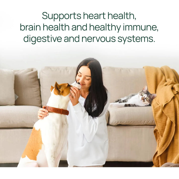 Aceite De Salmón Para Perros Y Gatos Control Desprendimiento - Imagen 4