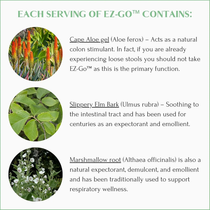 Cápsulas Ez-go Naturales De 60 Unidades Para Bienestar Diari - Imagen 5
