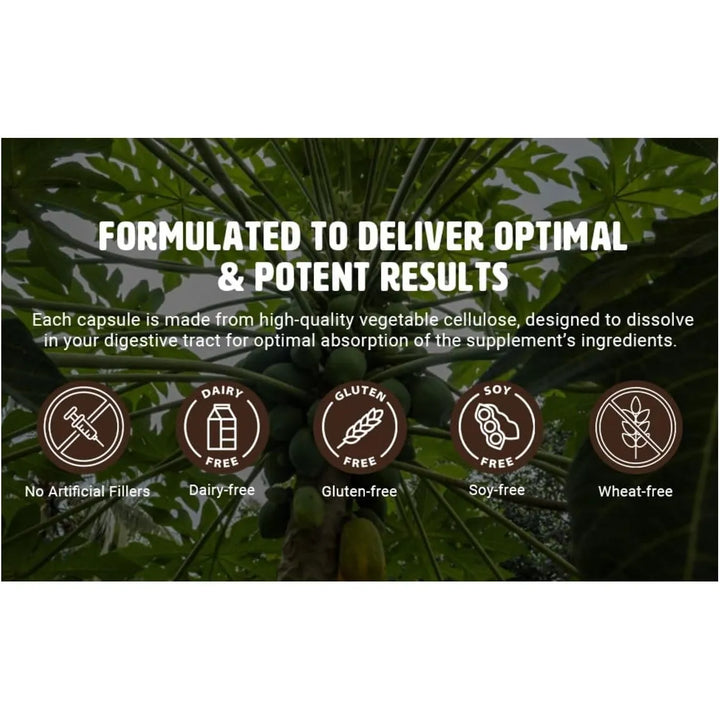 Cápsulas De Extracto De Hoja De Papaya 180 Píldoras 1000 Mg - Imagen 8