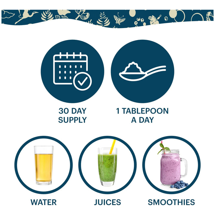 Probiótico Líquido Orgánico 90 Días Salud Intestinal Función - Imagen 3