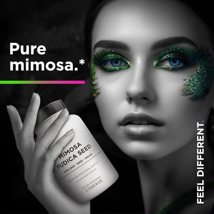 Cápsulas Orgánicas De Semillas De Mimosa Pudica Suministro D - Imagen 8