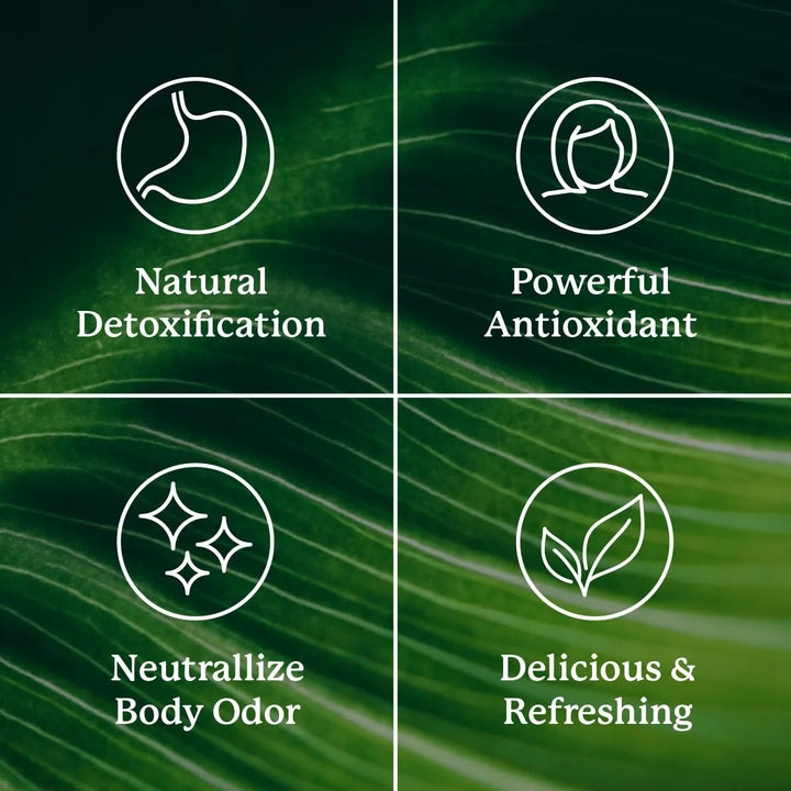 Cápsulas Blandas Clorofila 60 Unidades Fórmula Natural Detox - Imagen 5