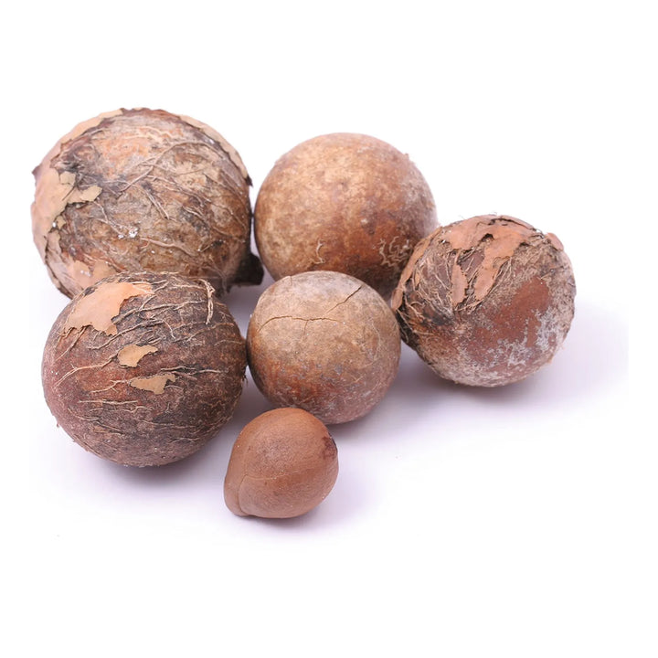 Aceite De Tamanu Puro Orgánico Prensado En Frío 473 Ml Hidra Fragancia - Imagen 5