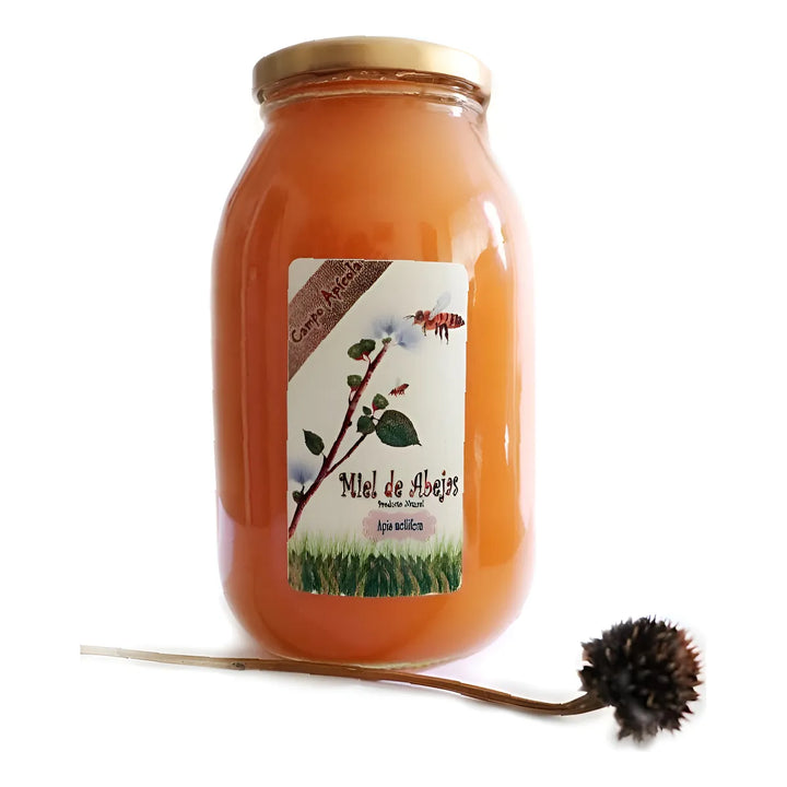 Miel De Abejas Cristalizada Pura Y Cruda 100%  1000gr. Origen Multifloral - Imagen 1