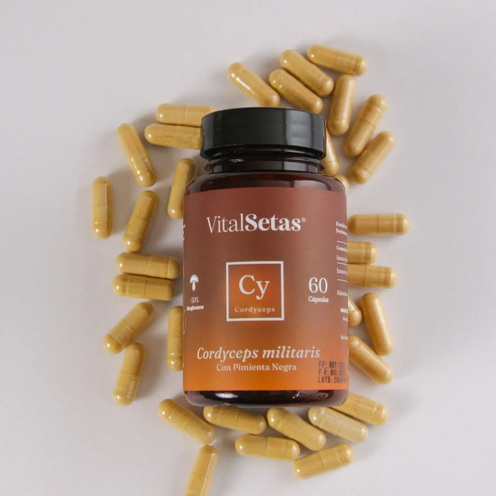 Cápsulas Cordyceps Vitalsetas Natural - Imagen 4
