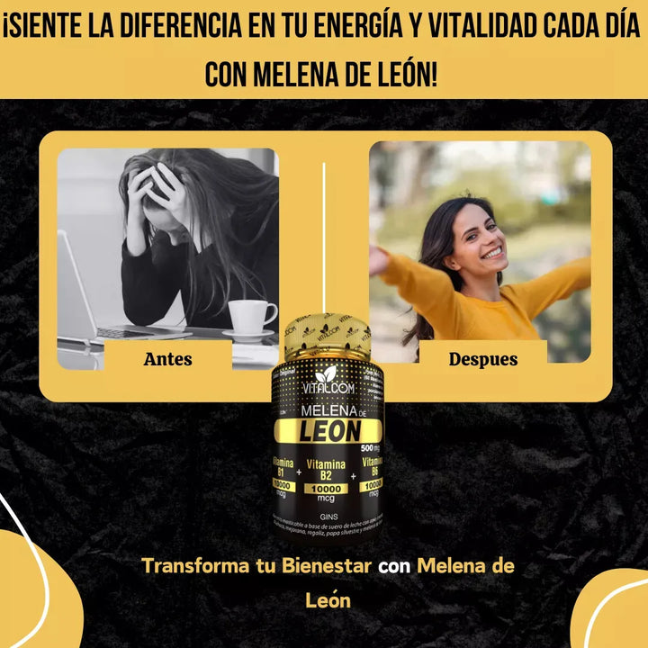 Melena De Leon Organica Hongo Natural - Imagen 7