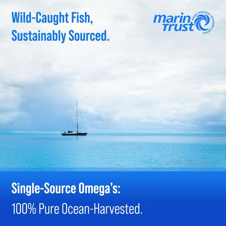 Aceite De Pescado Omega 3 3600 Mg Epa Dha Alta Potencia Apoy - Imagen 4