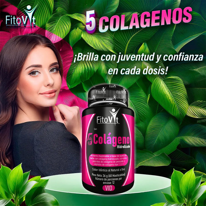 5 Cólagenos Hidrolizado Fitovit Uva - Imagen 7
