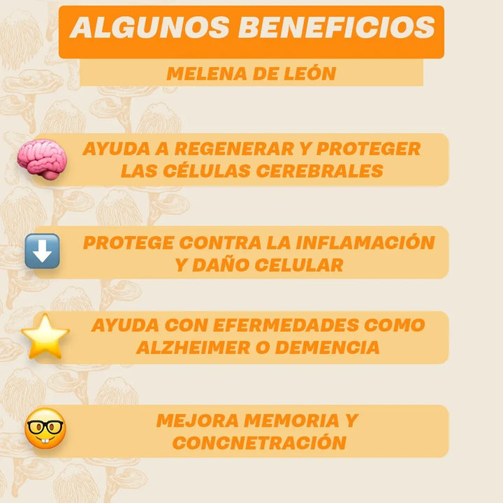 Melena De Leon Polvo Organica Capuchino - Imagen 9