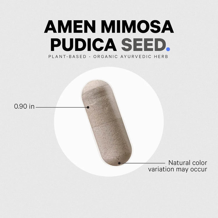 Cápsulas Orgánicas De Semillas De Mimosa Pudica Suministro D - Imagen 6