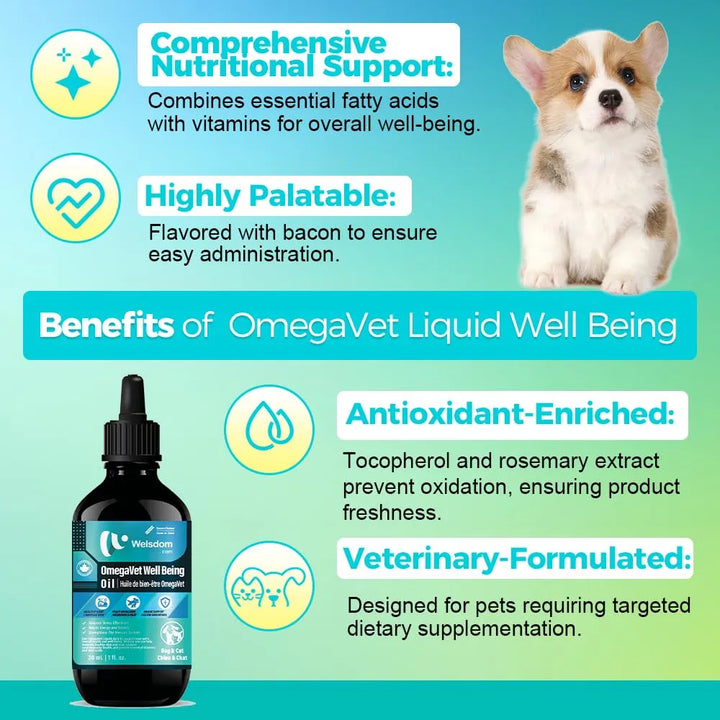 Aceite Bienestar Mascotas 30 Ml Mezcla Omega-3 Vitaminas Apo - Imagen 3