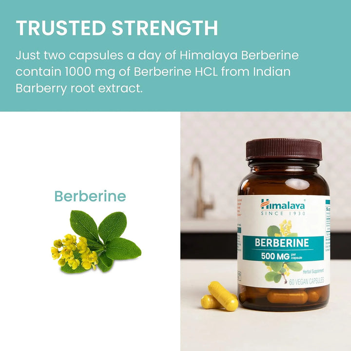Berberina Himalaya 1000 Mg Apoyo Metabolismo Colesterol Gast - Imagen 6