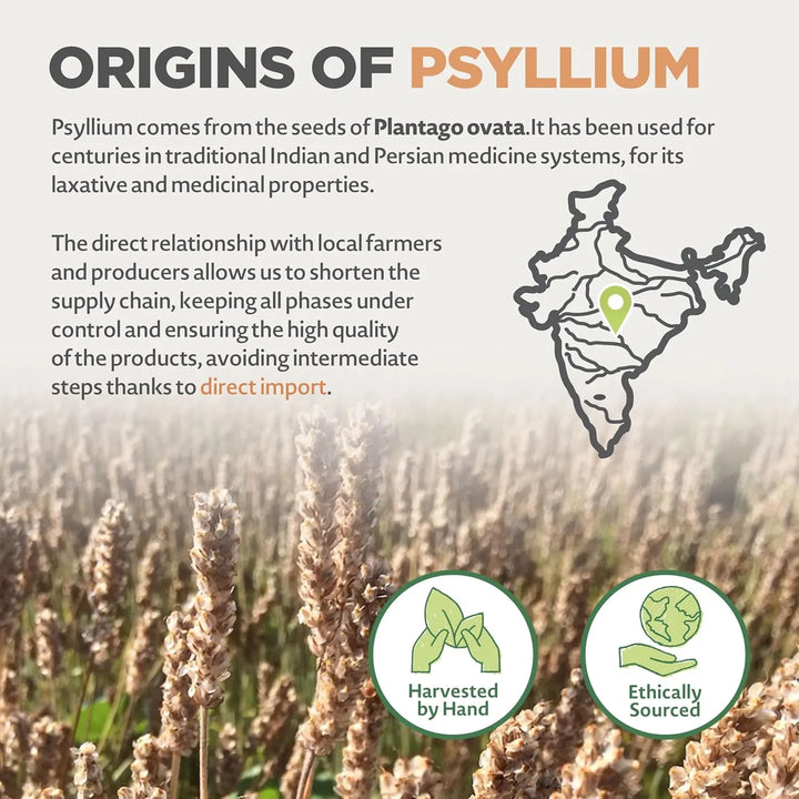 Cáscara De Psyllium Orgánica 680g Fibra Pura Ideal Para Diet - Imagen 6