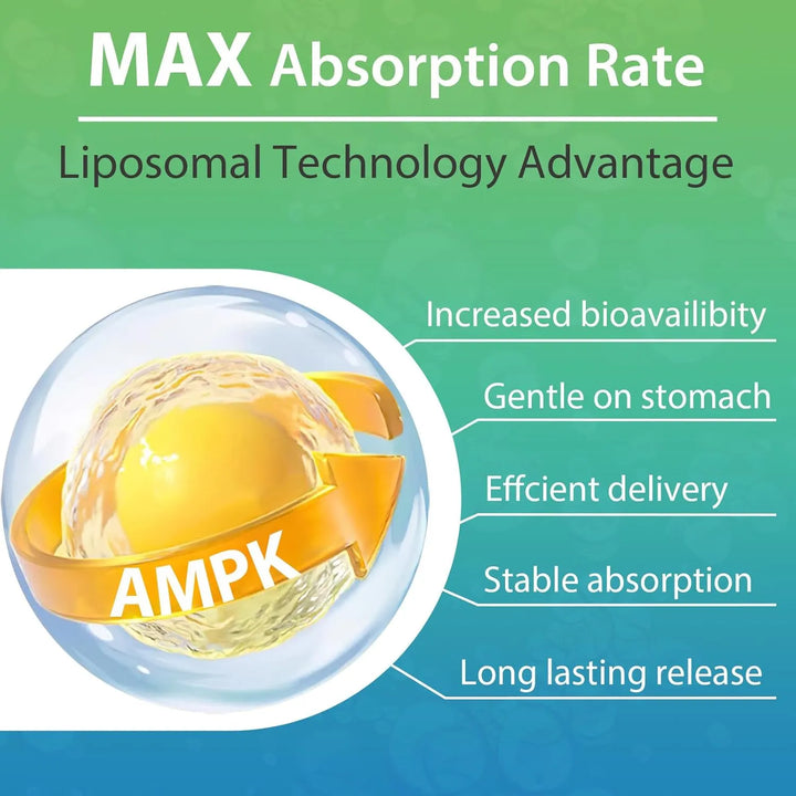 Activador Ampk 2000 Mg Liposomal Alta Absorción Berberina Di - Imagen 3
