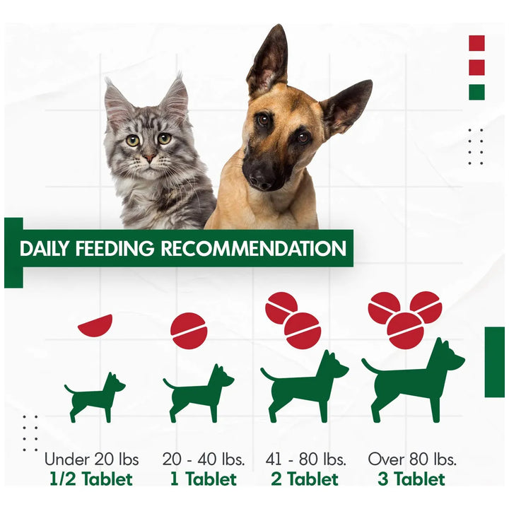 Cápsulas De Arándano D-manosa Para Perros Y Gatos Soporte Ur - Imagen 4