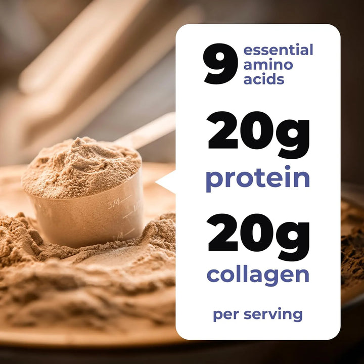 Polvo De Colágeno De Hueso De Res Sabor Chocolate 9 Aminoáci - Imagen 3