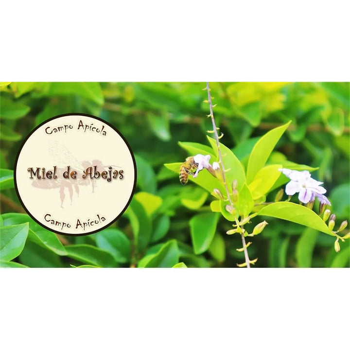 Miel De Abejas Cristalizada Pura Y Cruda 100%  1000gr. Origen Multifloral - Imagen 5