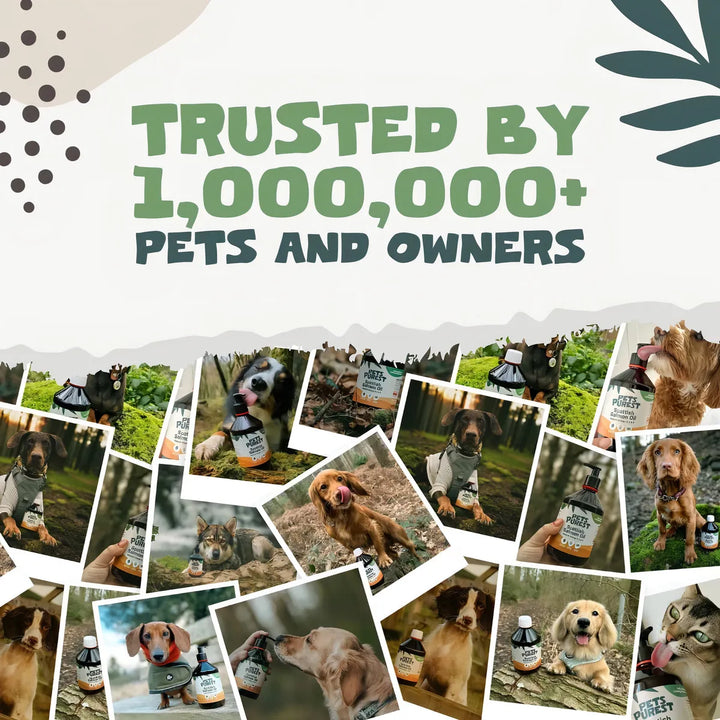 Aceite Natural De Salmón Para Mascotas 32 Onzas 100% Puro Om - Imagen 8