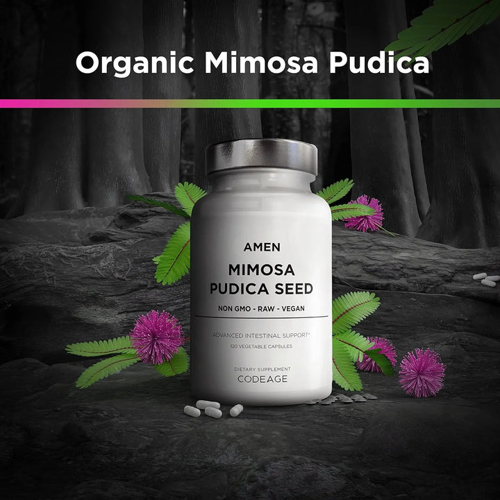 Cápsulas Orgánicas De Semillas De Mimosa Pudica Suministro D - Imagen 3