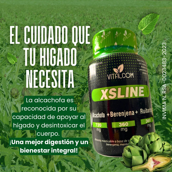 Xsline Capsulas Detox Adelgazante Natural Drenador Hepatico - Imagen 4